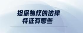 擔保物權(quán)的法律特征有哪些