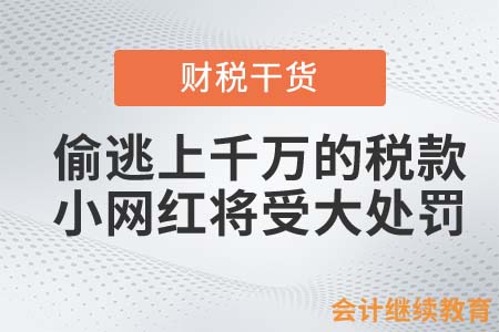 偷逃上千萬的稅款？小網(wǎng)紅將受大處罰！