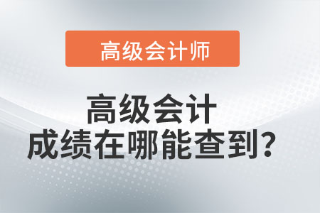 高級會計成績在哪能查到？