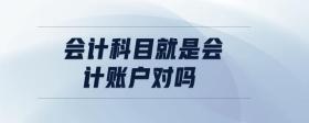 會(huì)計(jì)科目就是會(huì)計(jì)賬戶(hù)對(duì)嗎