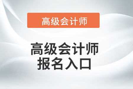 高級(jí)會(huì)計(jì)師考試報(bào)名入口只有一個(gè)嗎？