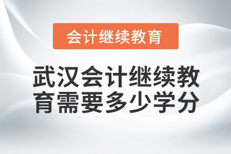 武漢會計(jì)繼續(xù)教育需要多少學(xué)分？