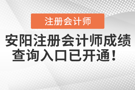 安陽(yáng)注冊(cè)會(huì)計(jì)師成績(jī)查詢?nèi)肟谝验_(kāi)通！