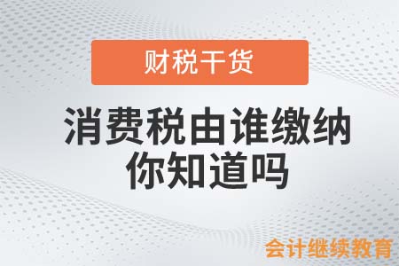 消費(fèi)稅由誰(shuí)繳納，身為會(huì)計(jì)的你知道嗎？
