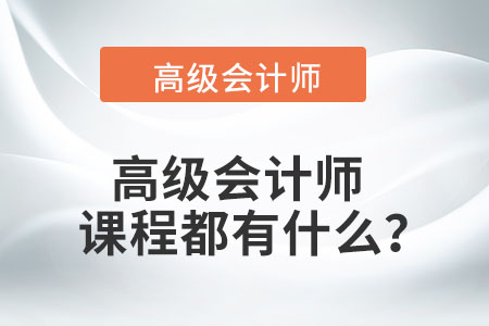 高級(jí)會(huì)計(jì)師課程都有什么？