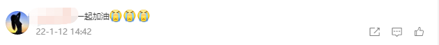 網(wǎng)友評論