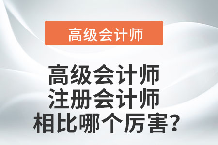 高級(jí)會(huì)計(jì)師與注冊(cè)會(huì)計(jì)師相比哪個(gè)厲害？