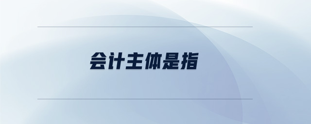 會計主體是指