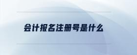 會計報名注冊號是什么