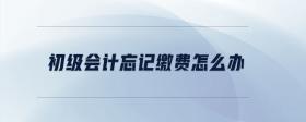 初級會計忘記繳費怎么辦