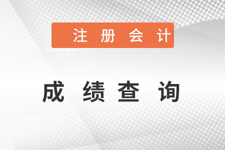 注冊(cè)會(huì)計(jì)成績查詢