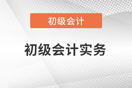 初級(jí)會(huì)計(jì)實(shí)務(wù)