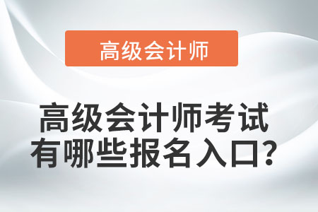 高級會計師考試有哪些報名入口？