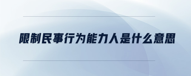 限制民事行為能力人是什么意思