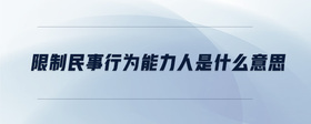 限制民事行為能力人是什么意思