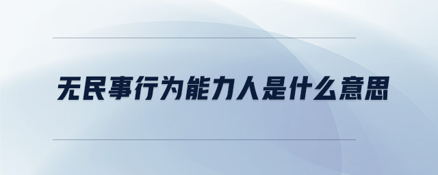 無民事行為能力人是什么意思