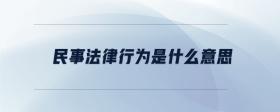 民事法律行為是什么意思