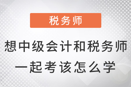 想中級會計和稅務(wù)師一起考該怎么學(xué)？