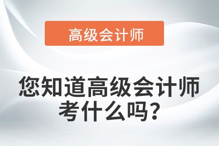 您知道高級(jí)會(huì)計(jì)師考什么嗎？