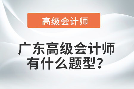 廣東高級會計師有什么題型？