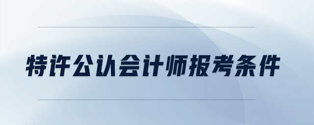 特許公認會計師報考條件