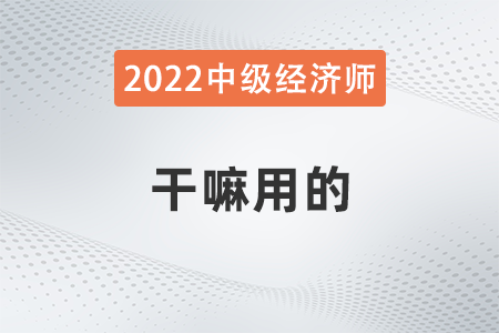 中級經(jīng)濟(jì)師干嘛用的