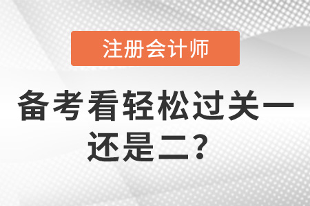 注會看輕松過關(guān)一還是二？