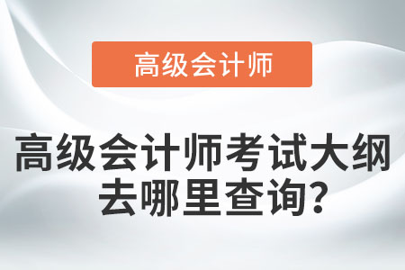 高級(jí)會(huì)計(jì)師考試大綱去哪里查詢？