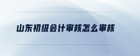 山東初級會計審核怎么審核