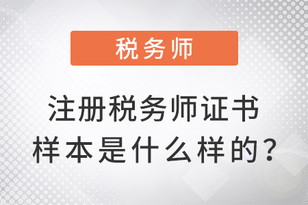注冊稅務(wù)師證書樣本是什么樣的？