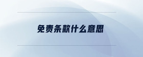 免責(zé)條款什么意思