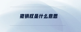 撤銷權(quán)是什么意思