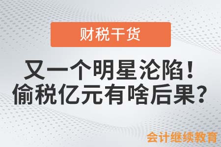 又一個(gè)明星淪陷！偷稅億元有啥后果？
