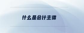 什么是會(huì)計(jì)主體