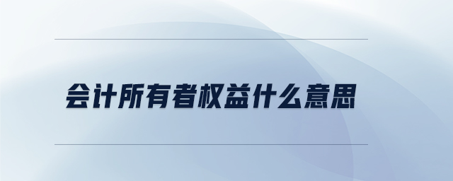 會計(jì)所有者權(quán)益什么意思