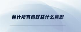 會計所有者權益什么意思