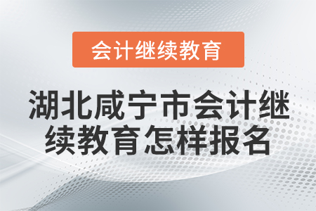 湖北咸寧市會(huì)計(jì)繼續(xù)教育怎樣報(bào)名？