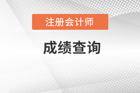 cpa成績查詢?nèi)肟诠倬W(wǎng)在哪里？