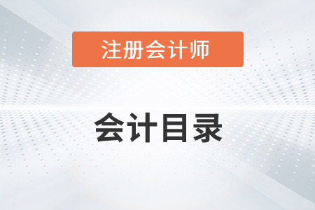 注冊會計師會計目錄2022年有變化嗎？