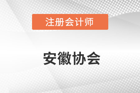 安徽省六安注冊會計師協(xié)會官網(wǎng)網(wǎng)址具體是什么呢？
