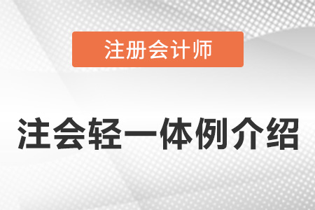注冊(cè)會(huì)計(jì)師東奧輕一體例介紹