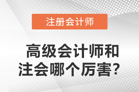 高級(jí)會(huì)計(jì)師和注冊(cè)會(huì)計(jì)師哪個(gè)厲害？