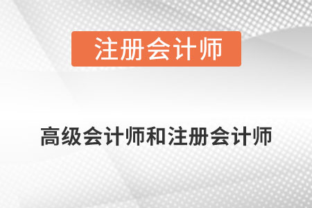 高級會(huì)計(jì)師跟注冊會(huì)計(jì)師的區(qū)別是什么?