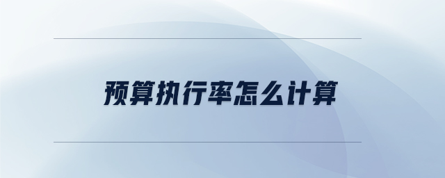 預(yù)算執(zhí)行率怎么計算