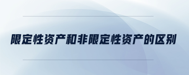 限定性資產(chǎn)和非限定性資產(chǎn)的區(qū)別