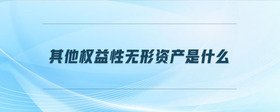 其他權(quán)益性無(wú)形資產(chǎn)是什么