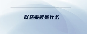 權(quán)益乘數(shù)是什么