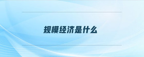 規(guī)模經(jīng)濟是什么