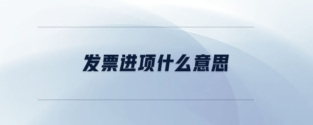 發(fā)票進(jìn)項什么意思