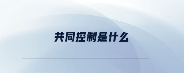 共同控制是什么